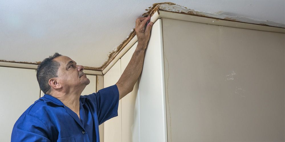 Preventive Pest Management Strategies