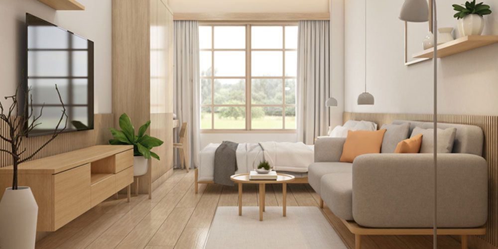 The Role of Cleanliness in Ant Prevention