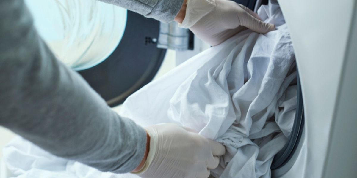 DIY Myths About Bed Bug Fecal Matter