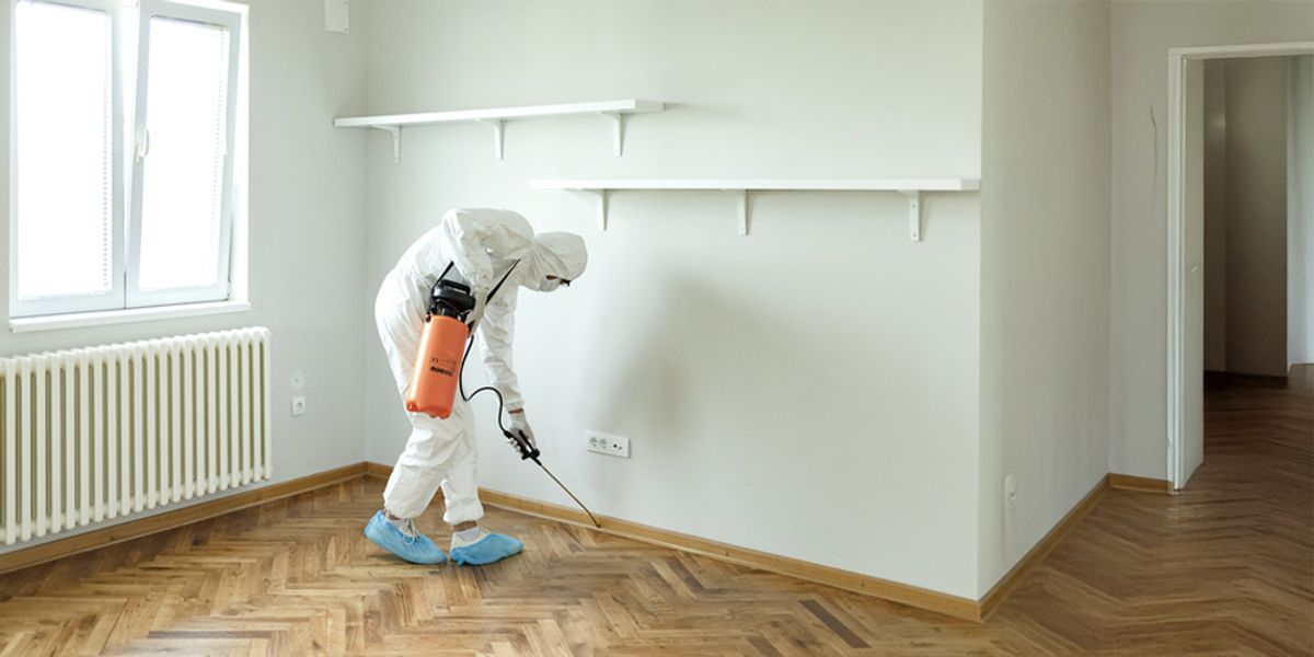 What to Expect From Same-Day Professional Pest Control