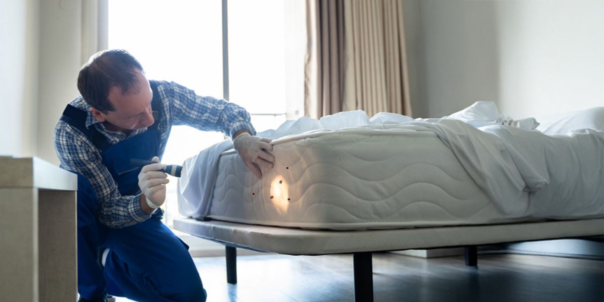 Choosing a Reputable Pest Control Company for Conventional Bed Bug Treatments