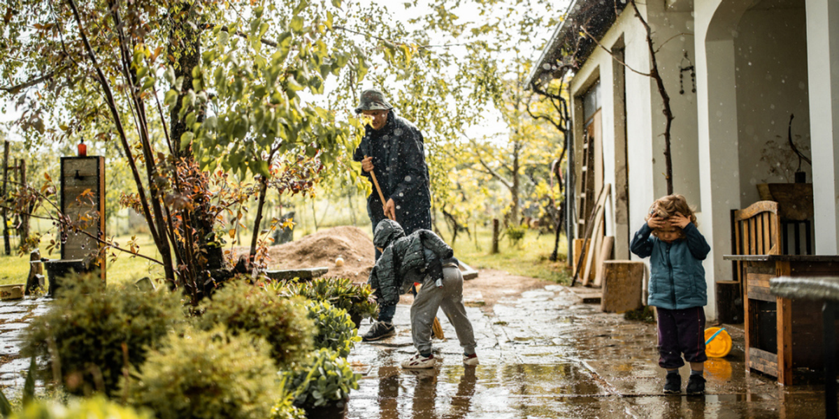The Link Between Heavy Rain and Big Roach Activity