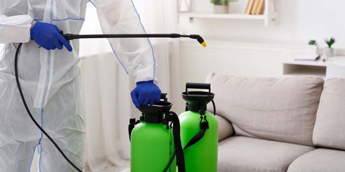 Environmentally-Safe Alternatives- Green Pest Control