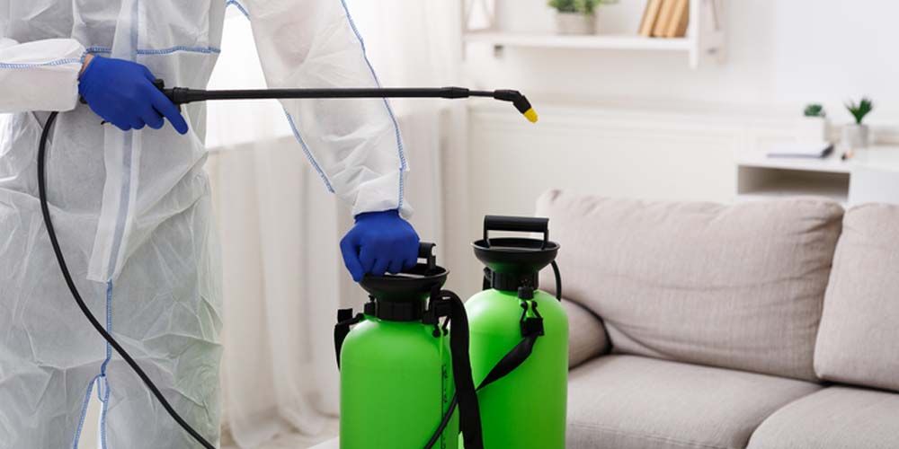 Environmentally-Safe Alternatives- Green Pest Control