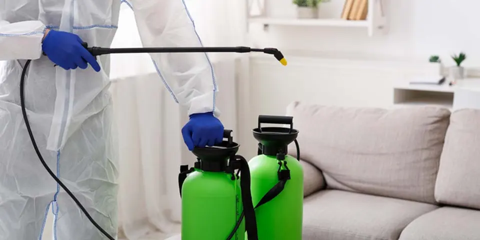 Environmentally-Safe Alternatives- Green Pest Control