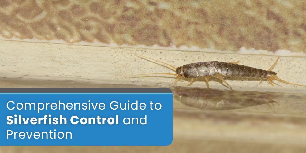 Comprehensive Guide to Silverfish Control and Prevention