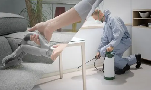 DIY-or-hire-a-pro