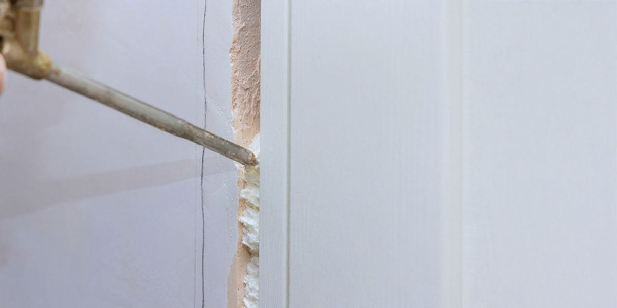 Tips for Preventing Future Infestations