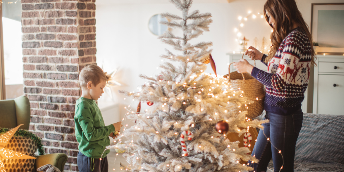 1. Inspect the Tree and Decorations Before Bringing Them In