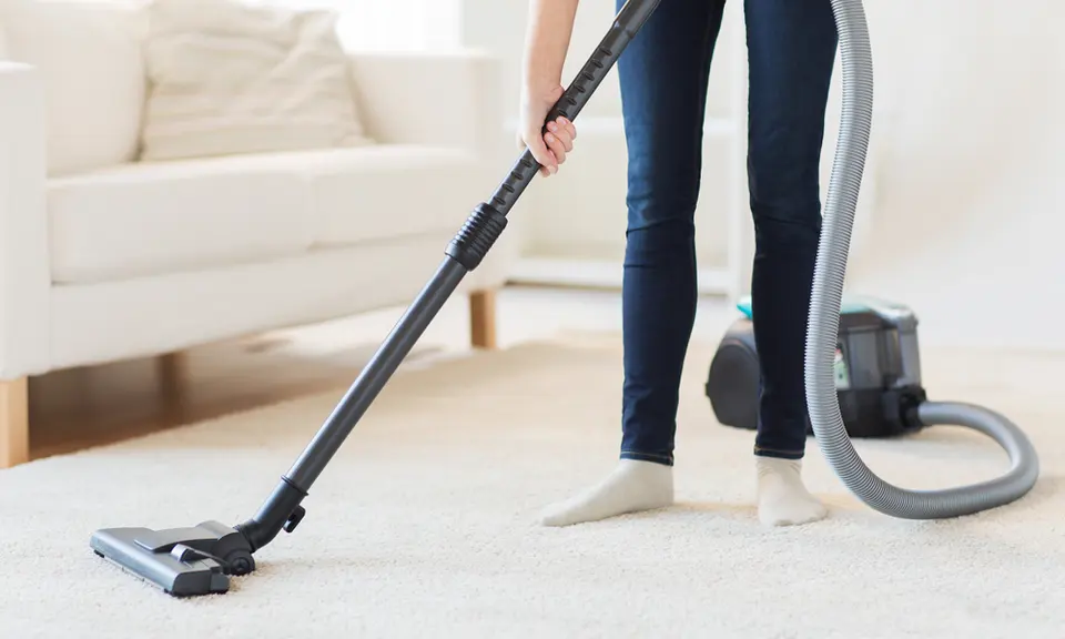 You can take care of some pest problems yourself with DIY methods.