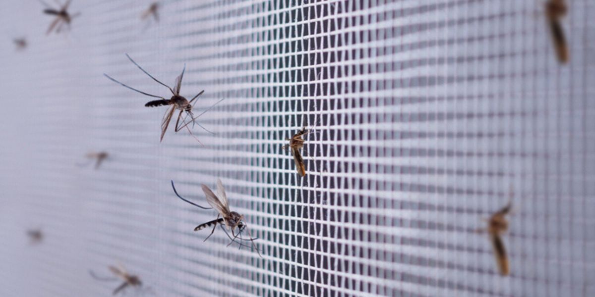 No Gaps Means No Surges