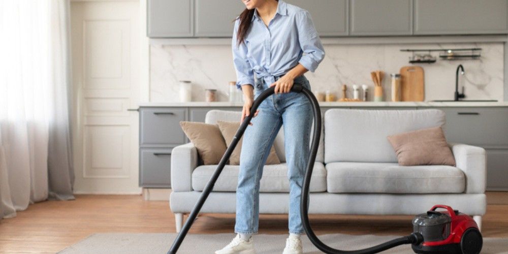 Moth Control - Vacuum and Freeze Infested Items