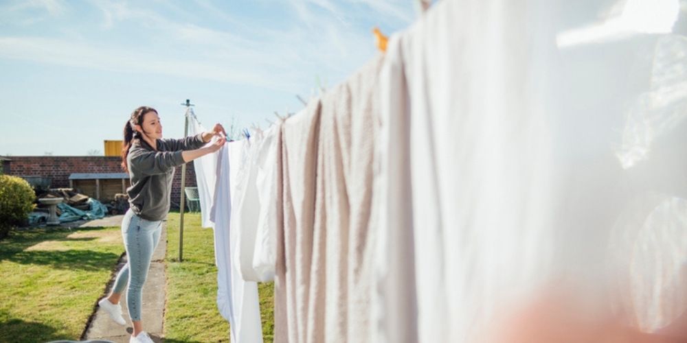 How to Eliminate Mites Effectively