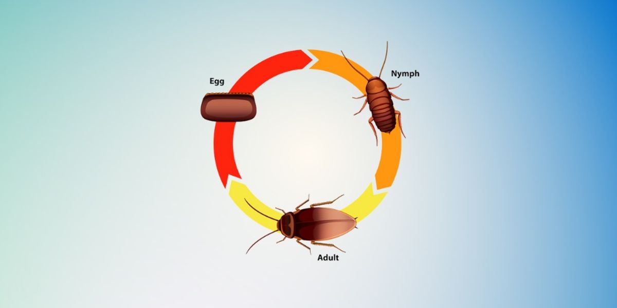 Why Life Cycle Targeting is Essential