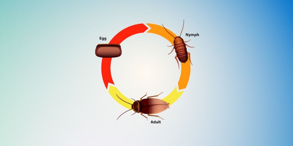 Why Life Cycle Targeting is Essential