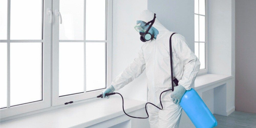 Pest Elimination - Choice for Pest Control