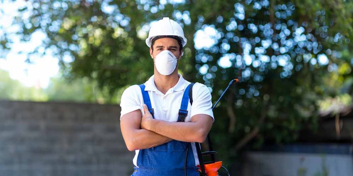 Don't Let Moths Bug You - Seek Professional Relief!