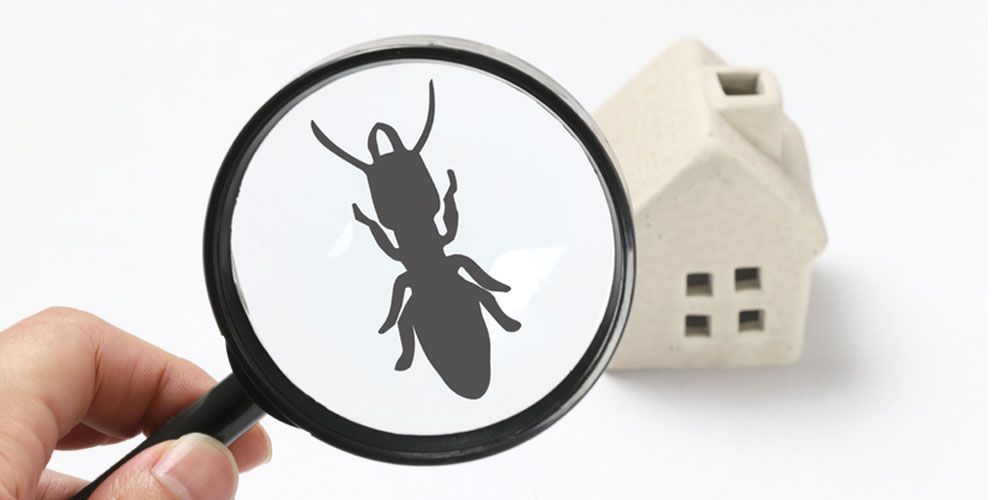 Routine Inspection Checklist