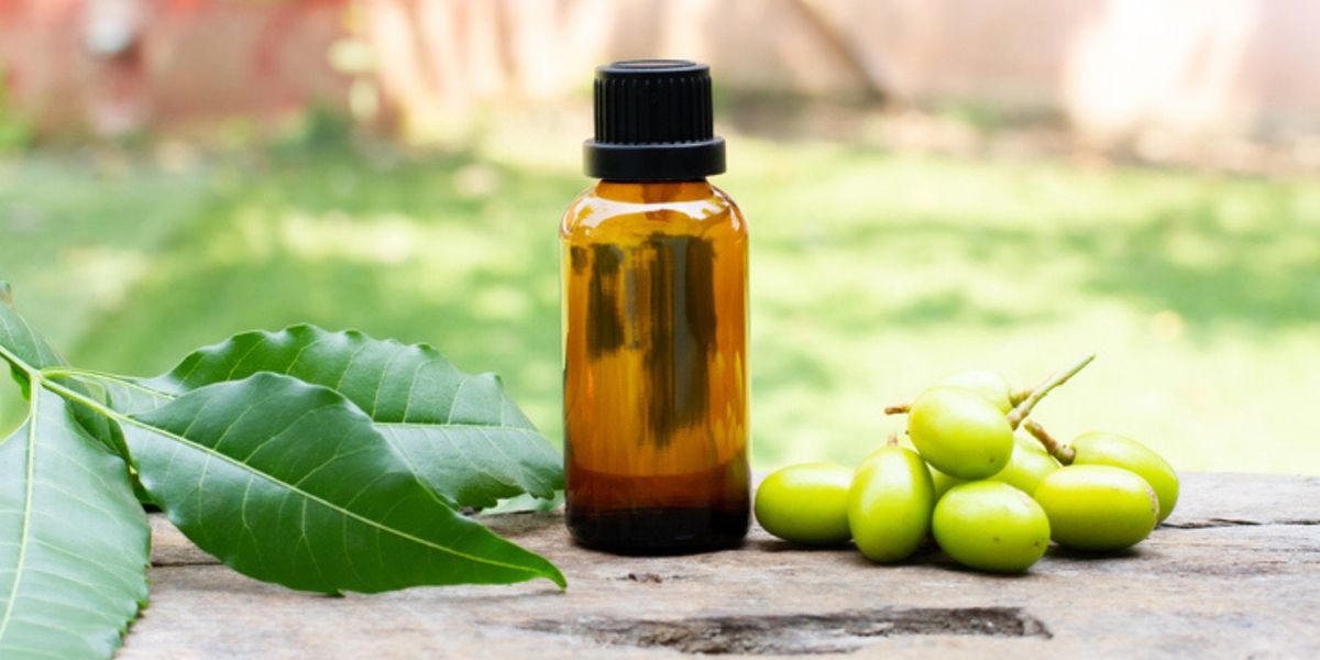 How Does Neem Oil Work and What Is It