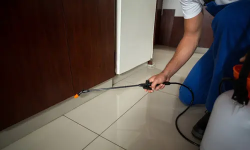 Choosing the Right Pest Control Service Provider