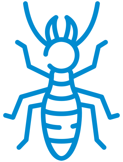 Termite icon