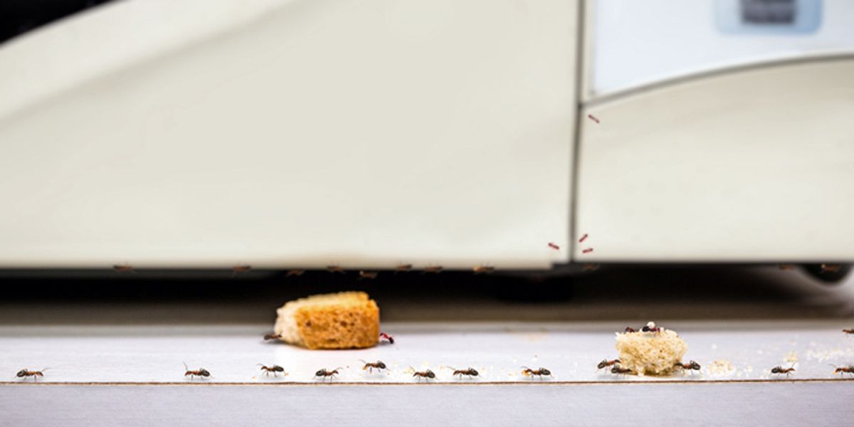 Regular Maintenance and Monitoring