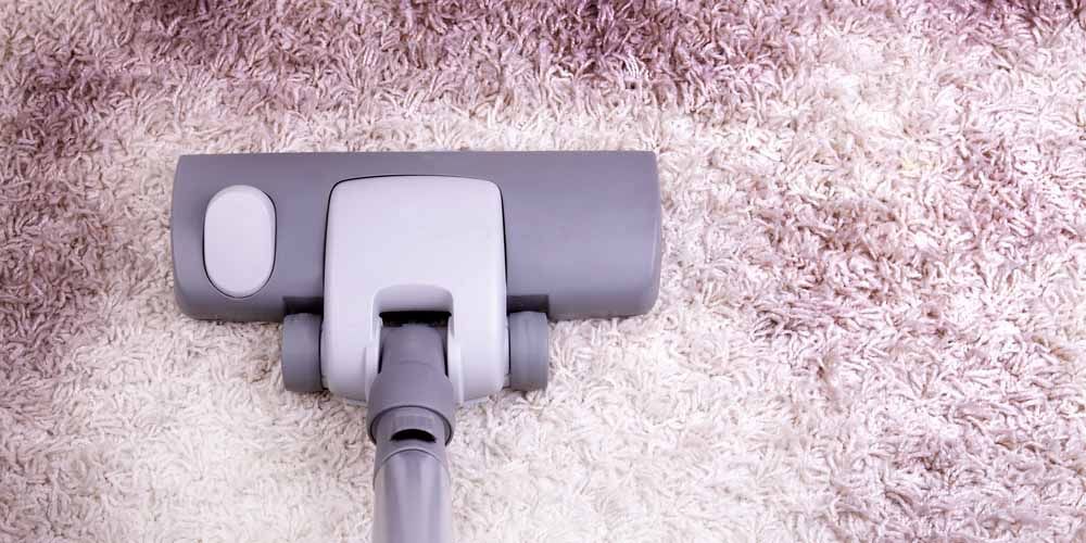 Maintaining a Mite-Free Environment