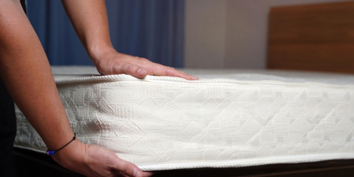 Preventing Future Bed Bug Infestations