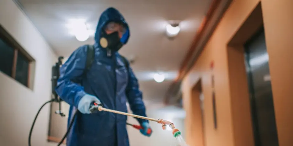 6. Hire a Professional Pest Control Service