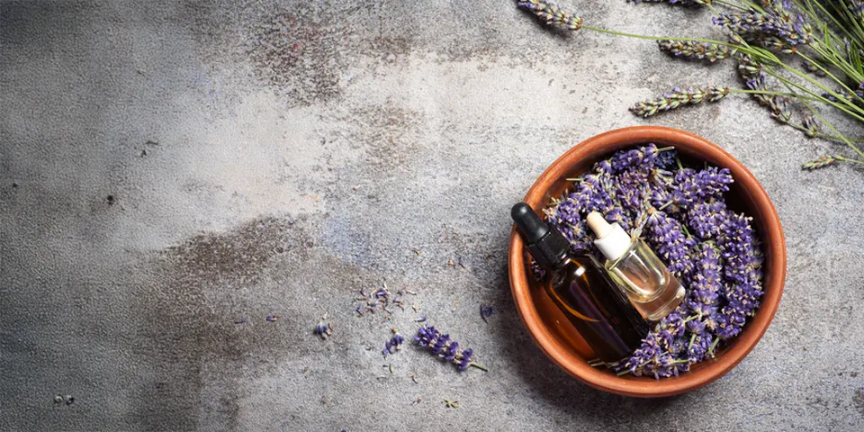 What Are Natural Flee Treatments?