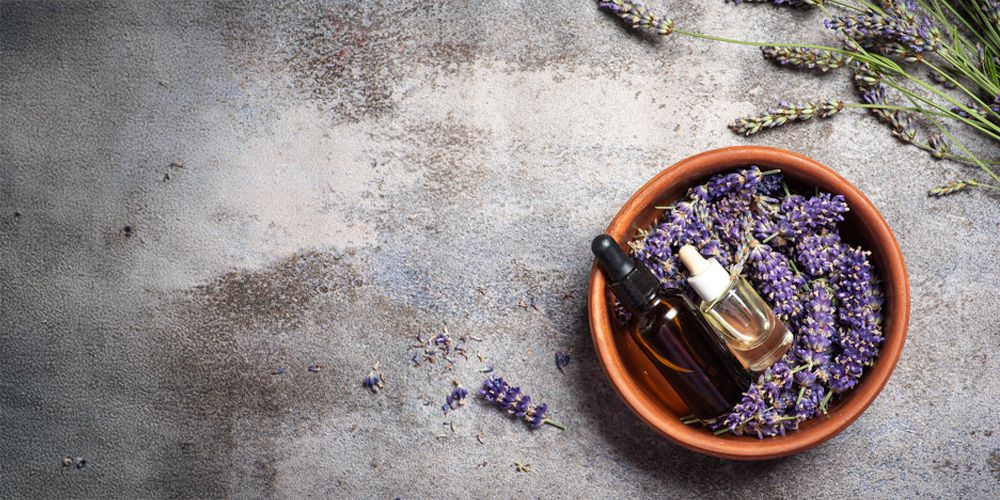 What Are Natural Flee Treatments?