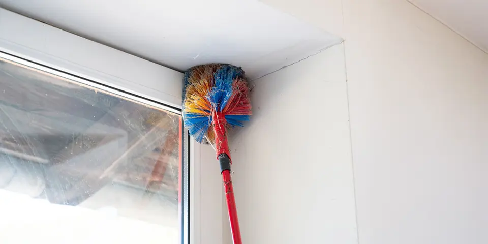 Long-Term Spider Control Strategies