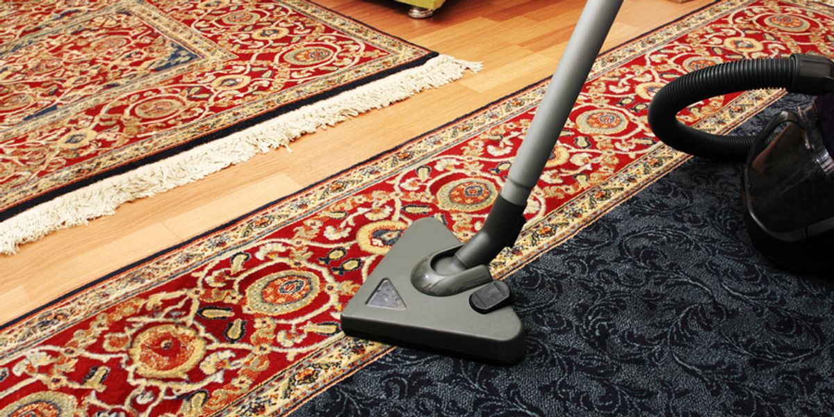 Vacuuming Regularly - Bed Bug Control