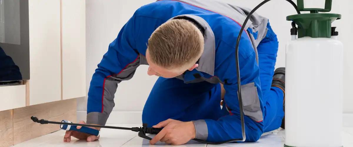 Comparison of the Efficacy of DIY and Professional Control Services