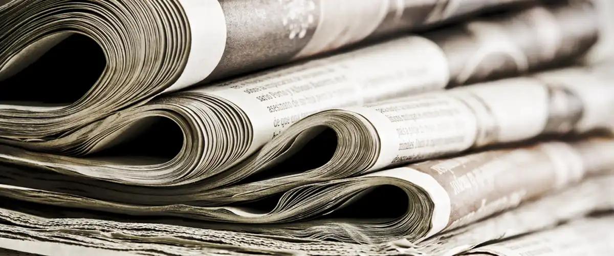 Traps and Baits for Silverfish Elimination