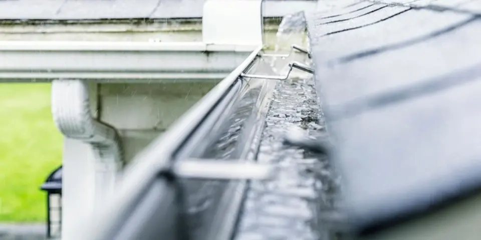 Moisture from Rainstorms Creates Ideal Conditions