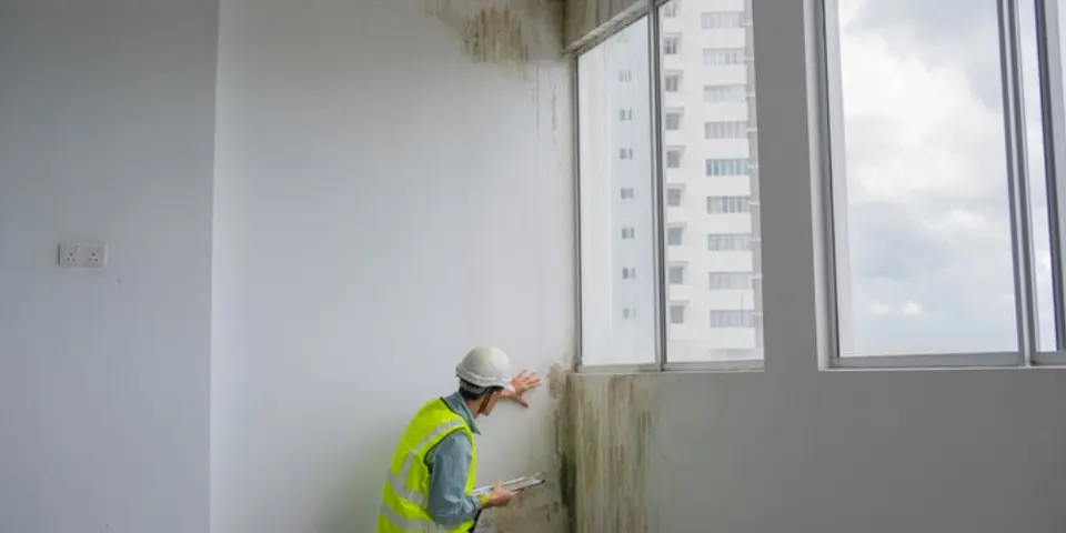 Moisture Control and Pest Prevention
