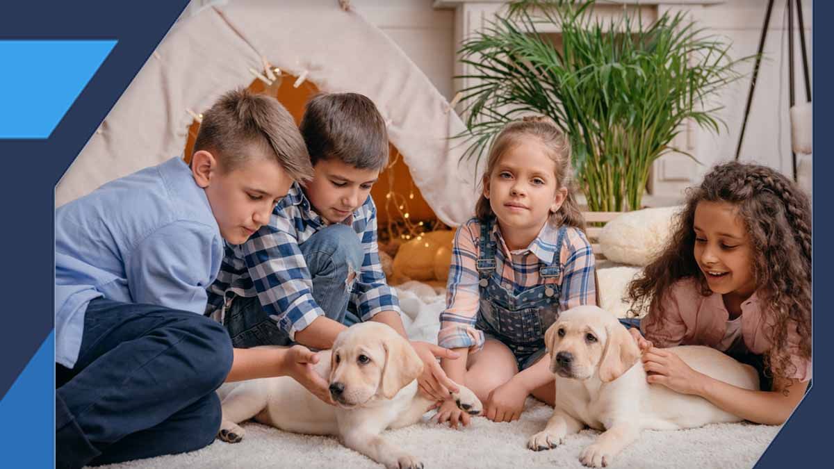 2. Presence of Children or Pets