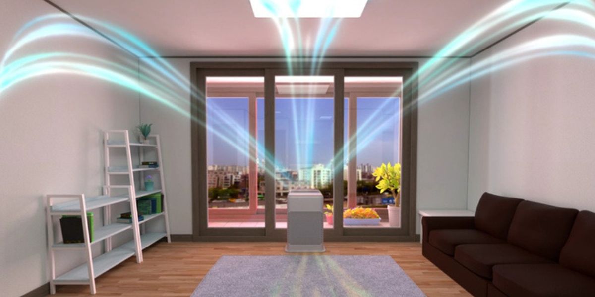 Moth Control - Maintain Airflow and Light