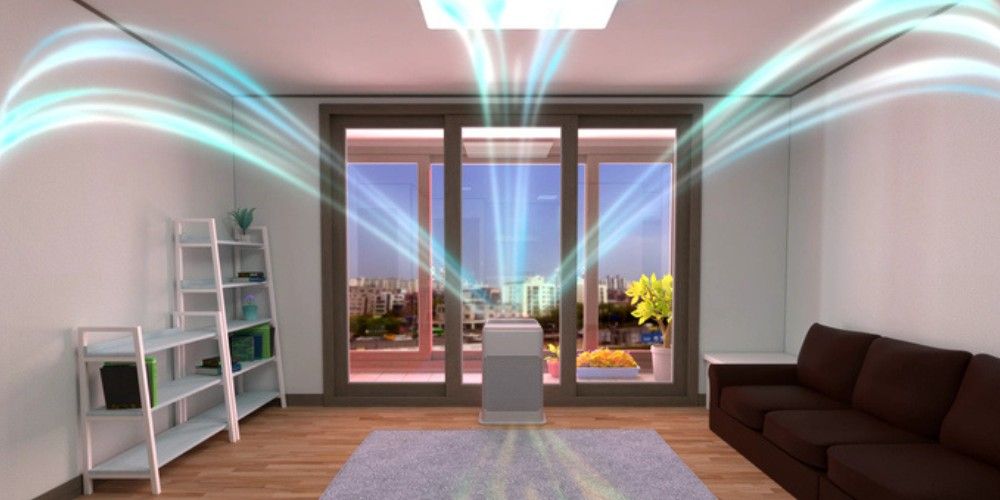 Moth Control - Maintain Airflow and Light