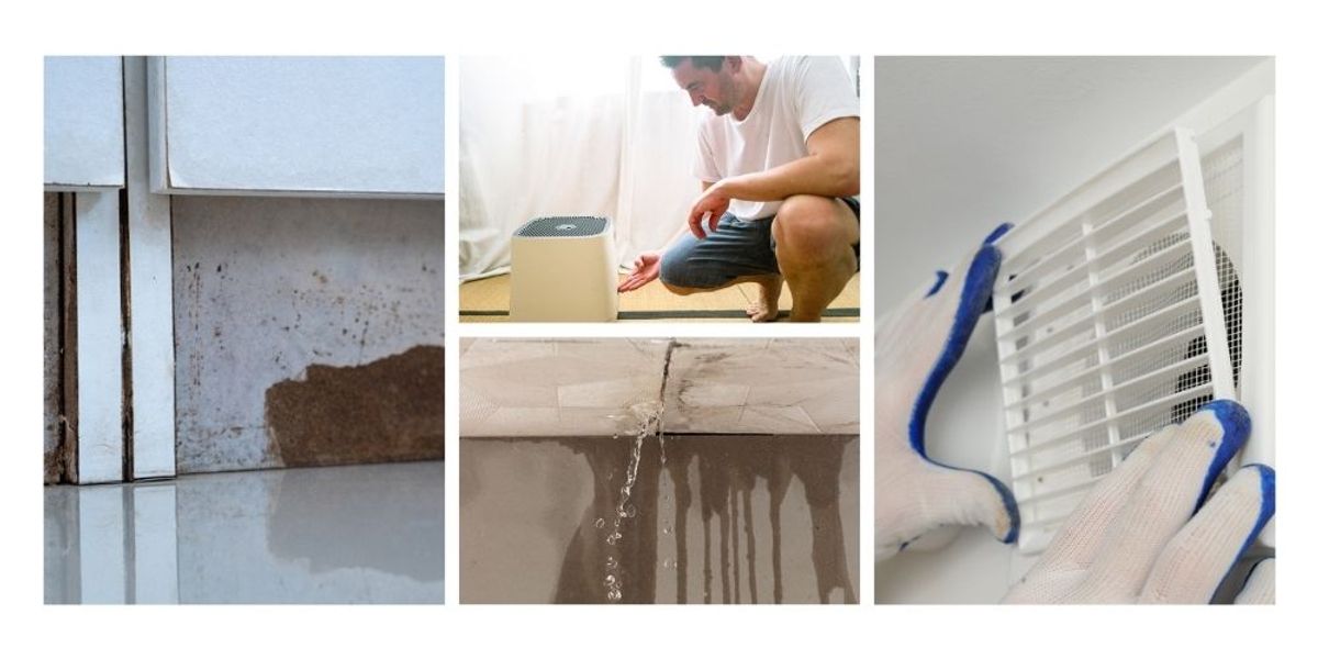 2. Eliminate Moisture and Fix Leaks