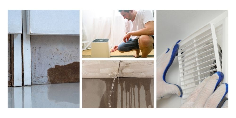 2. Eliminate Moisture and Fix Leaks