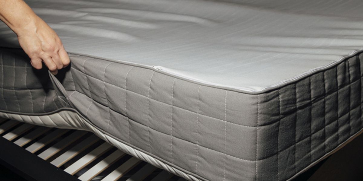 Step 6- Preventive Measures to Avoid Reinfestation