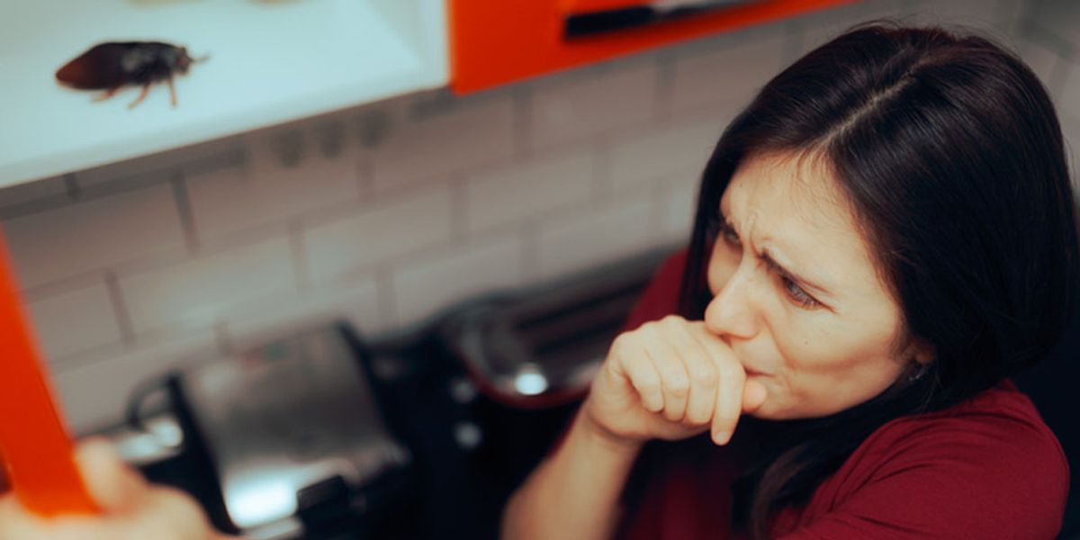 Final Thoughts- Harmonizing Health and Pest Control