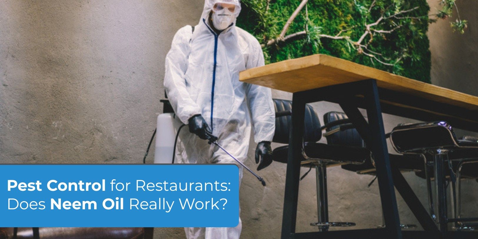 Pest Control for Restaurants_ Does Neem Oil Really Work