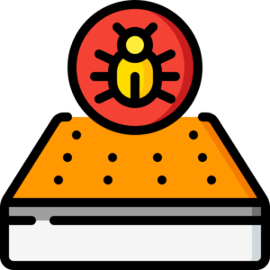 Traditional Bed Bug Treatment icon