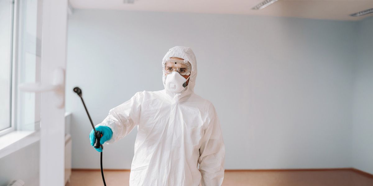 Why Same-Day Pest Control is a Necessity