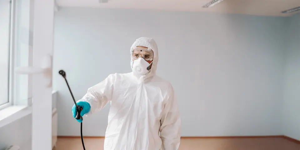 Why Same-Day Pest Control is a Necessity