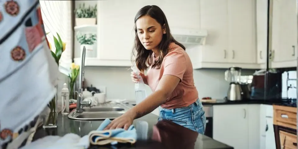 Cleaning Habits That Strengthen Ant Control