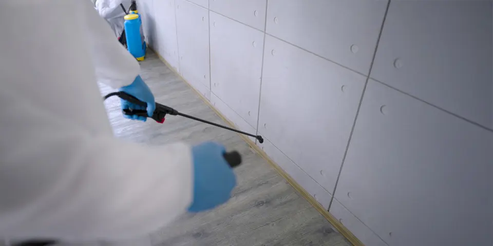 Fast Pest Control Solutions